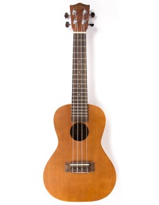 Instrument_Ukulele_2